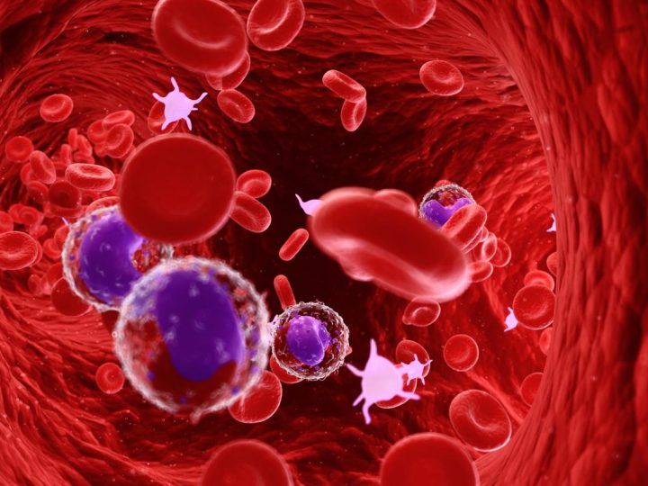 Rischi e benefici: ingegneria genetica dei linfociti B umani!