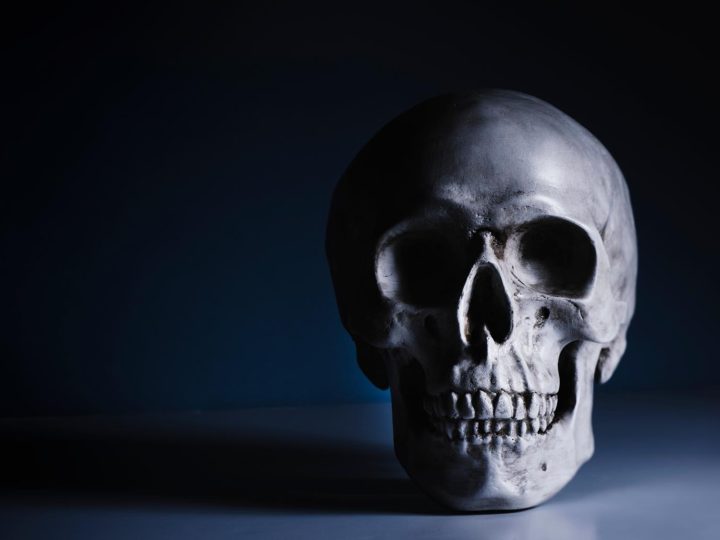 Incredibile ritrovamento in Germania svela: gli Homo sapiens sono più antichi del previsto!