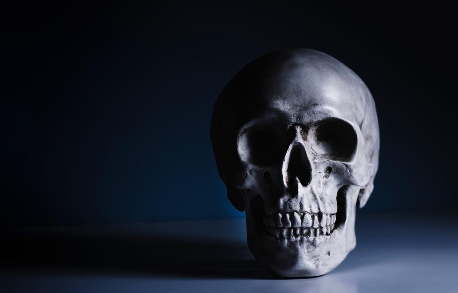 Incredibile ritrovamento in Germania svela: gli Homo sapiens sono più antichi del previsto!